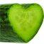 Agriculture Using Plastic Shape Moulds Heart, Star, Square, Flower shape cucumber and fruit mould