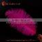 Cheap dyed 30-35cm ostrich feathers for sale