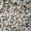 high efficient biomass flat die biomass pellet making machine