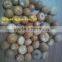 DRIED WHOLE BETEL NUT IN VIETNAM in 2016 drop