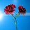 2016 Most popular long stem fresh spray carnations cuttings