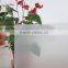 6mm Tempered Frosted Glass With AS/NZS2208:1996, BS6206, EN12150 Certificate