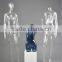 Transparent plastic mannequin/torso