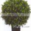 Wholesale Price Artificial Bonsai Plant Topiary Ball Bonsai Boxwood Ball Potted Plant