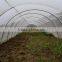 greenhouse insect net roll for vegetable plant ,virgin hdpe material anti uv agriculture insect net from China