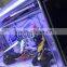 toys display case, led acrylic lighted display case for hot toys, lighted glass display case