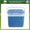 AC&DC Electric Mini Car Cooler Box With Handle