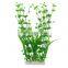 Zhongshan maxware wholesale home aquarium decoration underwater ro water plant price