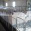 steel pig pen for sale made in china