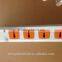 High quality 4-gang BS electric power extension sockets outlet SASO Approval