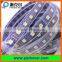 apa102c 60leds/m 5V SMD5050 white color digital led strip