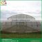 Arch roof type tunnel greenhouse round greenhouse bradford greenhouses