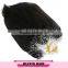Long Body Wave Style Ombre Color Russian Hair Wholesale russian nano ring wholesale