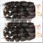 Perfect choice hair products rich curly human hair extension human hair wholesale