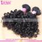 Shandong Factory Mongolian Curly Hair Extension Hair With Rubber Band