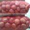 high quality 5kg gunny bag fresh chinese chestnut for Jordan