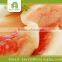 organic fruit fresh food importer