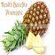 Palarich freeze dried fruit pineapple chips