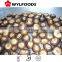 frozen shiitake mushroom quarter cuts slices 2015