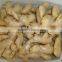 Fresh mature ginger