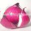 China Red onion pack in 10kg/mesh bag loosely