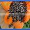 Raw Processing Type and Dried Style unsalted roasted sunflower seeds 5009