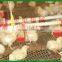 broiler poultry farm equipment