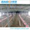 Poultry Automatic Feeder for Chicken