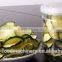 2016 High quality Vacuum Fried Vegetables And Fruits Chips Production Line