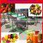 fruit juicer machine