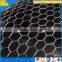 Plant protection guard hexagonal wire mesh,hexagonal planting mesh screen