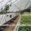 Large Size Commercial Greenhouse Hydroponics