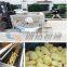 Petrol Type Full Automatic Potato Peeler for Hot Sale