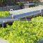 Agricultural Greenhouse Hydroponic Garden Flat System