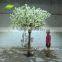 GNW BLS1503001 Small pink indoor peach blossom tree for decoration