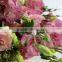 factory direct exquisite cut flower lisianthus fresh eustoma from China