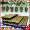 Rock wool hydroponic grow medium