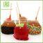 Wooden Candy Apples Sticks Logo