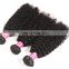 Factory Wholesale Virgin kinky Curly Hair Brazilian Human Hair bundles curly hair bundles