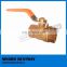 PN16 DN15 to DN50 Brass check valve non return swing valve