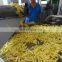 March Promotion Frozen French Fries Making Machine With Best Price