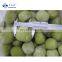 Wholesale quick frozen whole kiwi fruit IQF green kiwi