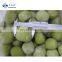 Sinocharm IQF Frozen Kiwi Fruit Bulk Fruit Frozen Kiwis