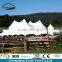 Popular transparent steel structure low price inflatable stretch tents for star hotel