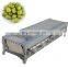 GJFJ900 Potato tomato grape Date palm Olive orange Hawthorn Silicone grading machine
