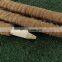 Reasonable Price 100 cm Indoor Artificial Garden Supplies Totem 80cm Coir Plant Moss Pole