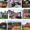 roofing shingles asphalt shingles roofing tile best price and quality