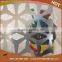 5mm acid etched glass/pattern glass/ deep acid etched