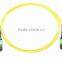 manufacturer of hot sale MTP 12F patch cord