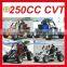 HOT NEW ADULT PEDAL GO KART 250CC (MC-462)